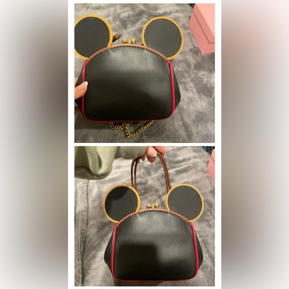 Disney x Coach
